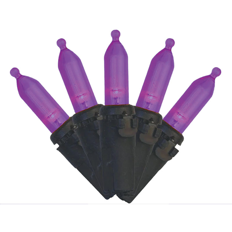 Celebrations® 100 Ct. Halloween LED Light Sets (Purple)