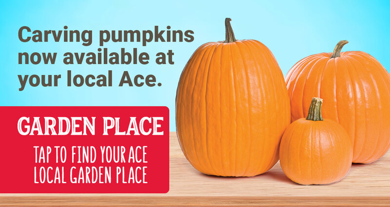 Carving pumpkins now available at your local Ace.